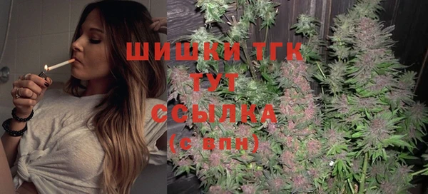 стафф Верхний Тагил