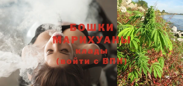 стафф Верхний Тагил