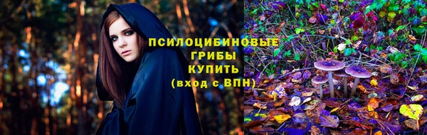 ECSTASY Верея