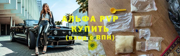 стафф Верхний Тагил